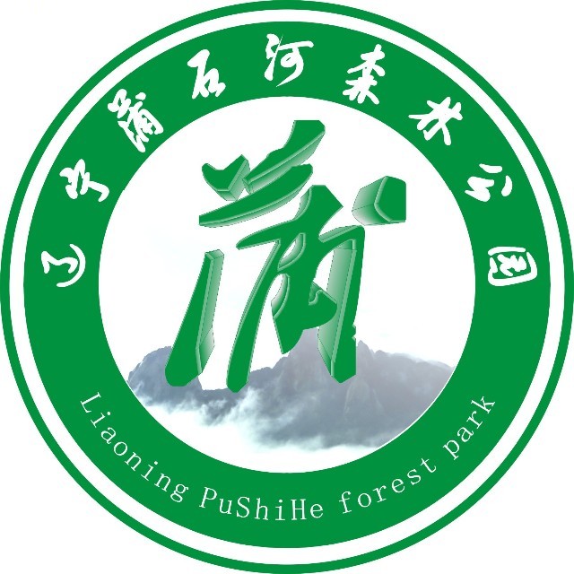 叢林穿越安全裝備——遼寧蒲石河森林公園