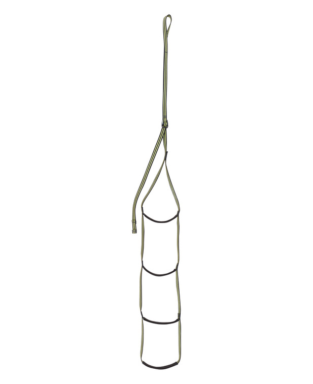 德國  愛德瑞德 Edelrid  Aid Climber	88156登山攀巖  繩梯上升器